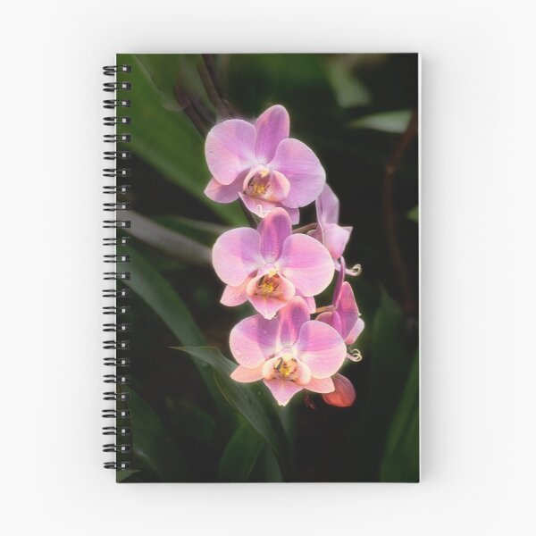 Item preview, Orchids in Pink designed and sold by Kathy Weaver.