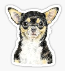 Chihuahua: Stickers | Redbubble