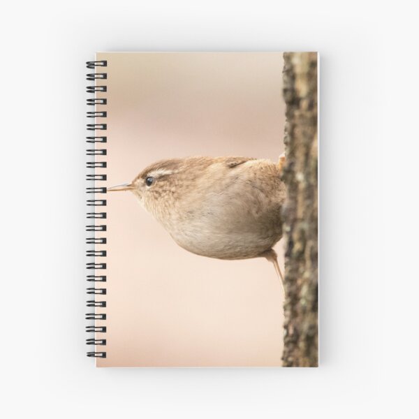 Wren at attention Spiral Notebook