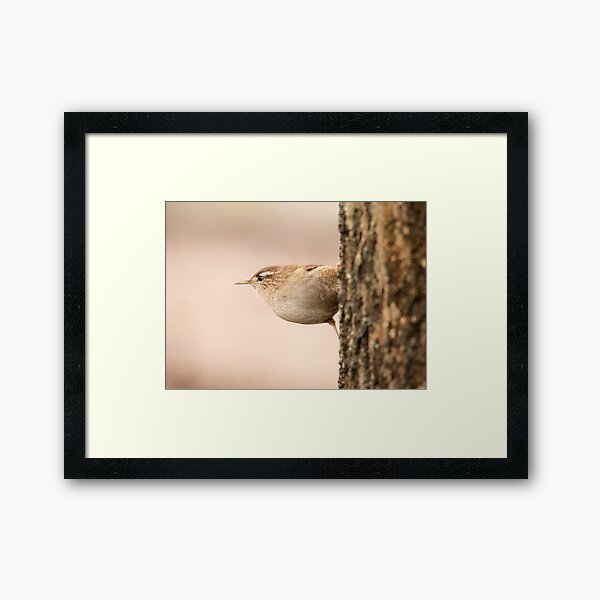 Wren at attention Framed Art Print