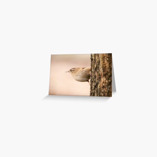 Wren at attention Greeting Card