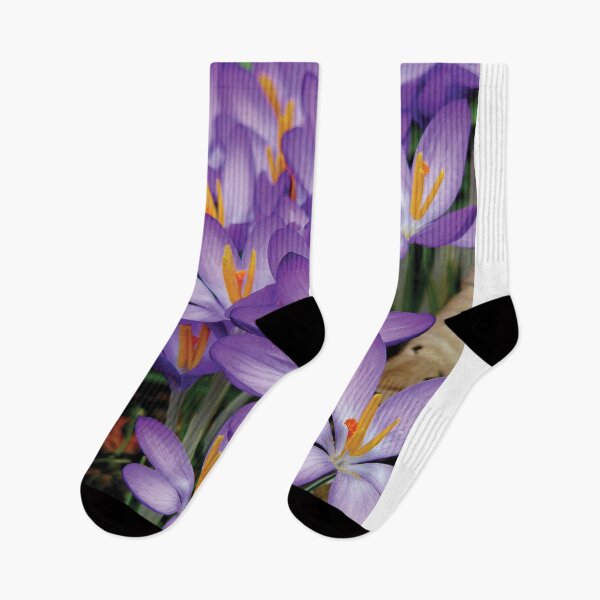 Item preview, purple and blue crocus designed and sold by Elonshop.