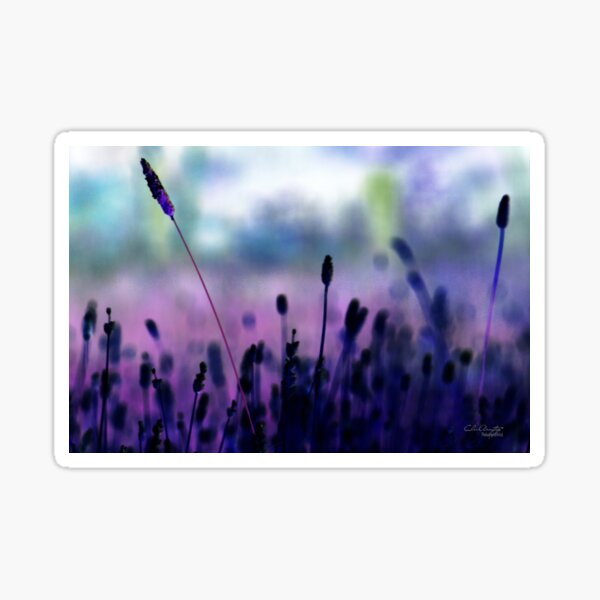 If I had a purple crayon ... Sticker