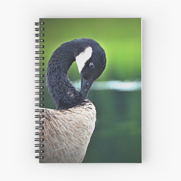 Item preview, Lovely  Canadian Goose Photograph with Vibrant Green Background designed and sold by mrtraz.