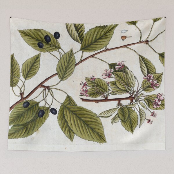 Item preview, BOTANY designed and sold by ArtAficionados.