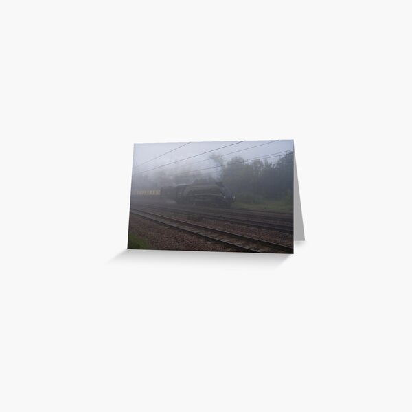Bittern in the Fog Greeting Card