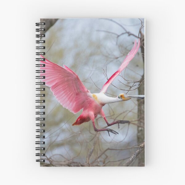 Item preview, Roseate Spoonbill designed and sold by SuddenJim.