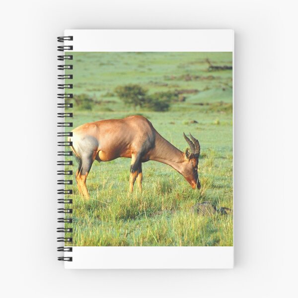 Item preview, Topi - Antelope designed and sold by Charuhas  Images.