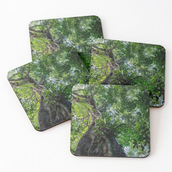 Item preview, Strangler Fig in the Daintree designed and sold by twelvepointfour.