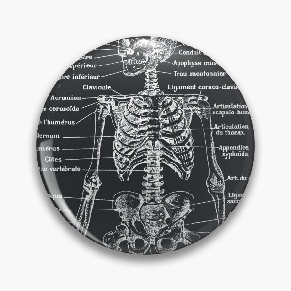 Item preview, Skeleton. Black background, Text in french designed and sold by LeAllureVintage.