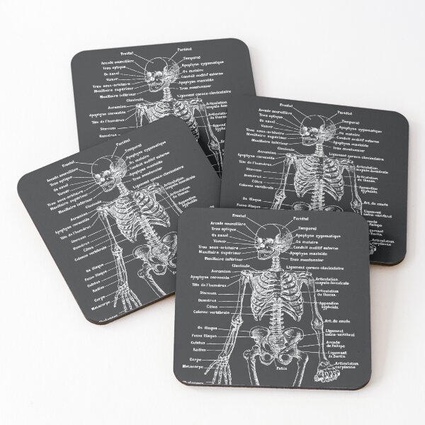 Item preview, Skeleton. Black background, Text in french designed and sold by LeAllureVintage.