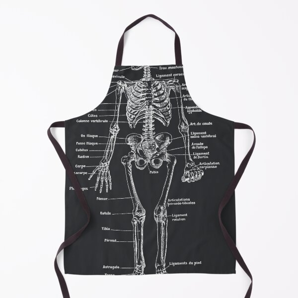 Item preview, Skeleton. Black background, Text in french designed and sold by LeAllureVintage.