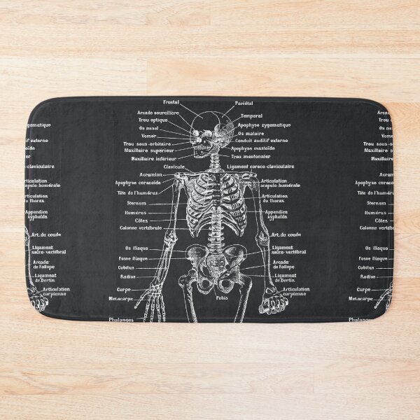 Item preview, Skeleton. Black background, Text in french designed and sold by LeAllureVintage.