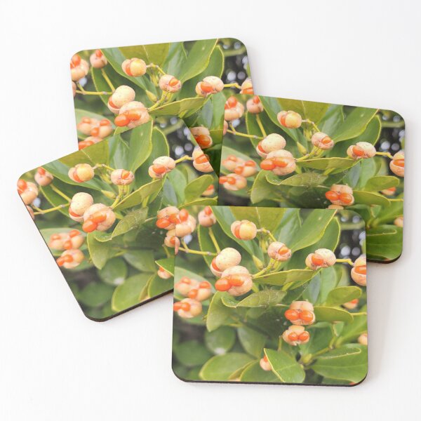 Item preview, Wildflowers along the coastal road , Jeju Island, Korea. designed and sold by human8891.