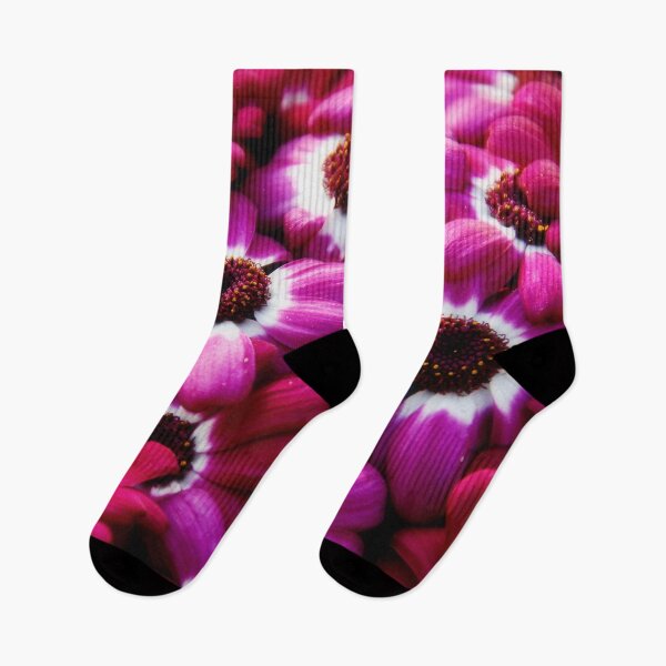 Aperçu de l'œuvre beauté violette fleurs-nature créée et vendue par Teo13.