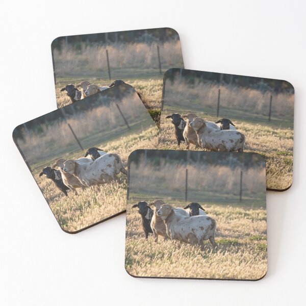 Item preview, Sheepies designed and sold by twelvepointfour.