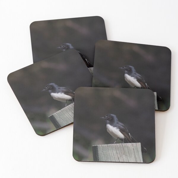 Item preview, Curious Willie Wagtail on a fence pole designed and sold by hendrikspix.