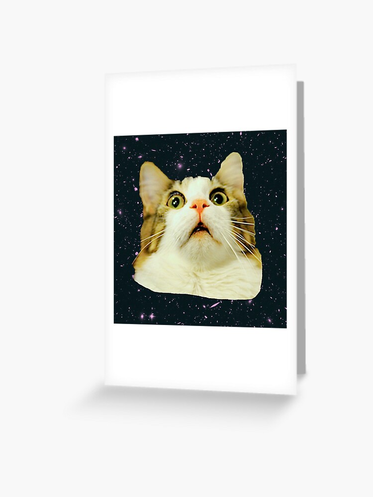 Space Cat Space Cat Surprise Spiral Notebook