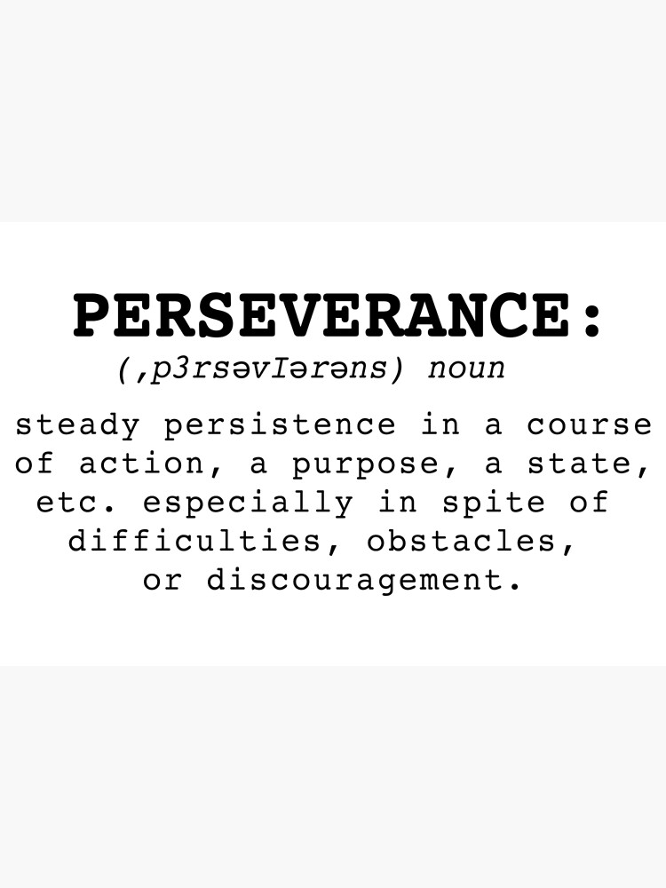 27-perseverance-examples-2024