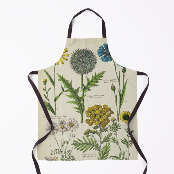 Item preview, Centaure, dandelion, daisy Flowers. Botanical Study with Latin and German text. designed and sold by LeAllureVintage.