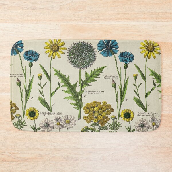 Item preview, Centaure, dandelion, daisy Flowers. Botanical Study with Latin and German text. designed and sold by LeAllureVintage.