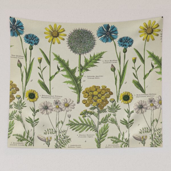 Item preview, Centaure, dandelion, daisy Flowers. Botanical Study with Latin and German text. designed and sold by LeAllureVintage.