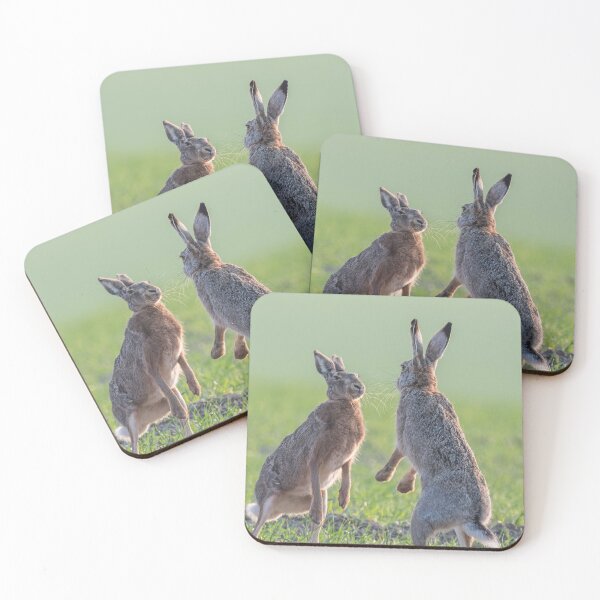Item preview, Brown hares in love frenzy designed and sold by Ingo Gerlach.