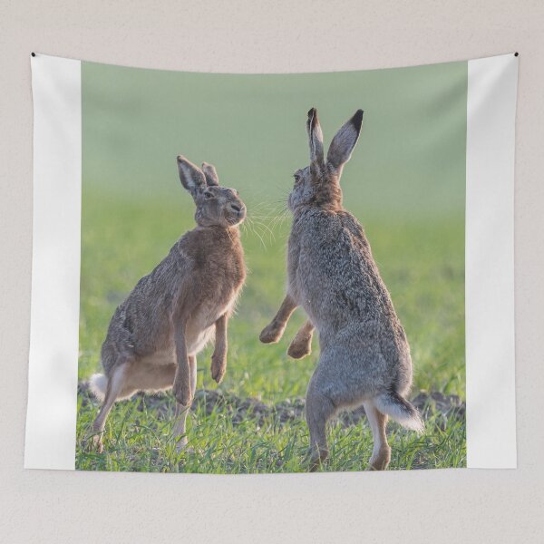 Item preview, Brown hares in love frenzy designed and sold by Ingo Gerlach.