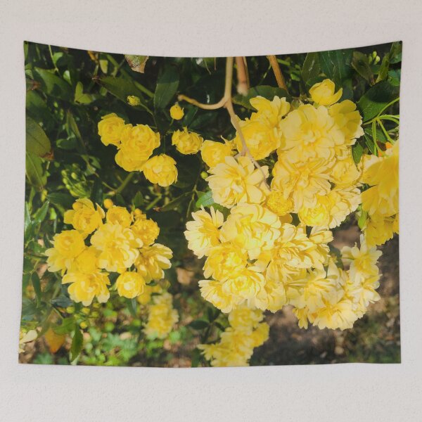 Item preview, Climbing Rose Bush Photo designed and sold by Pique-Interest.