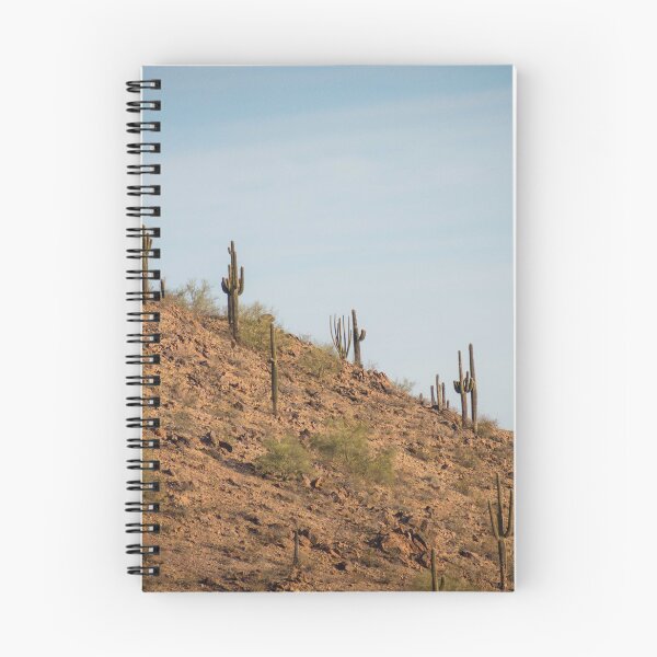 Aperçu de l'œuvre Cactus au parc Papago créée et vendue par elixandre.