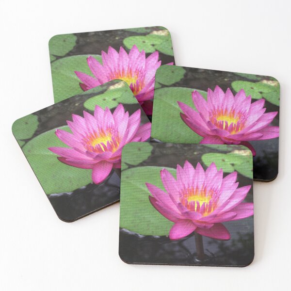 Item preview, Pseudomurals 00016 (Water Lily) designed and sold by CleanWIP.