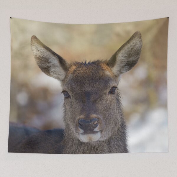 Item preview, Red Deer Portrait designed and sold by rawshutterbug.