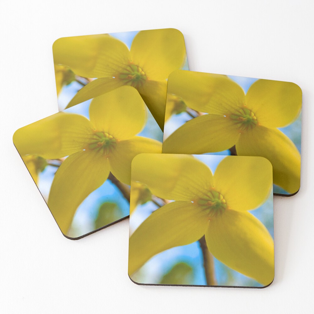 Item preview, Coasters (Set of 4) designed and sold by eidas.