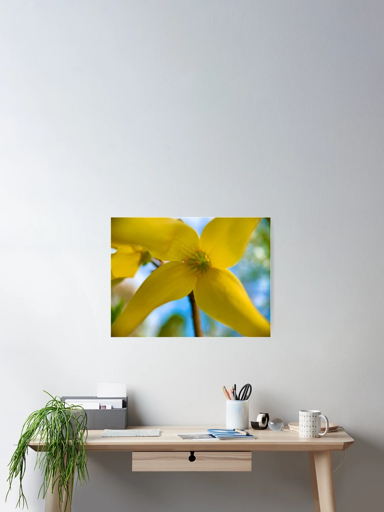 Thumbnail 2 of 3, Poster, Spring designed and sold by eidas.