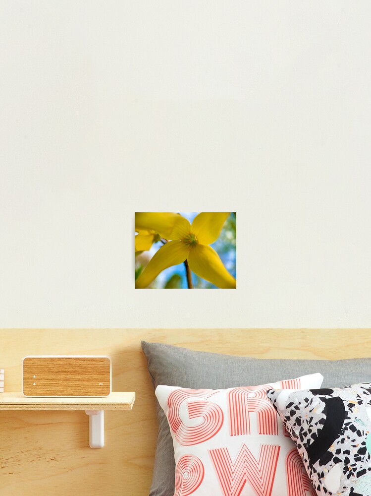 Thumbnail 2 of 3, Photographic Print, Spring  designed and sold by eidas.