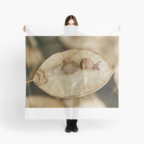 Artikelvorschau, Schnecke auf Ehrlichkeits-Samen-Hülse entworfen und verkauft von AnnDixon.