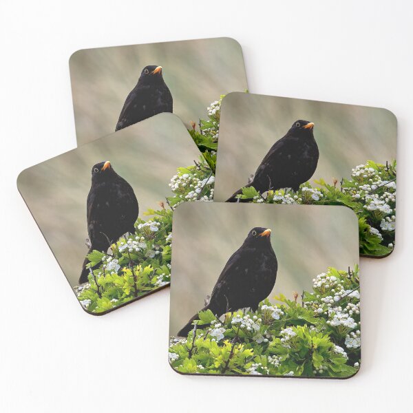 Item preview, Blackbird on May Blossom designed and sold by Violaman.