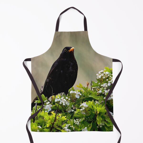 Item preview, Blackbird on May Blossom designed and sold by Violaman.