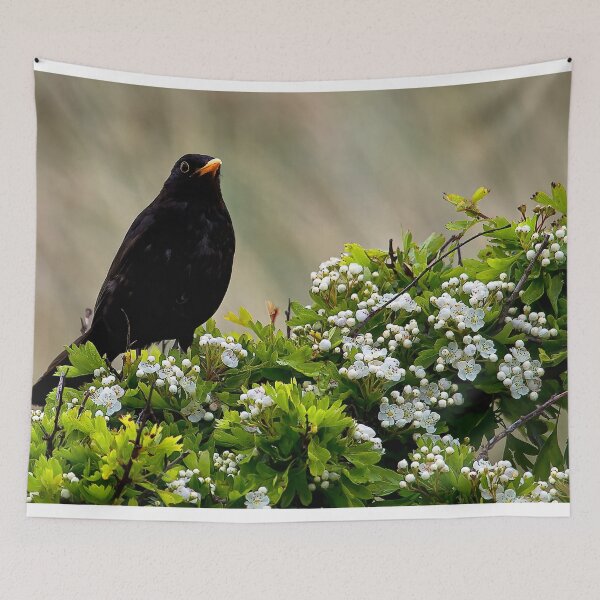 Item preview, Blackbird on May Blossom designed and sold by Violaman.