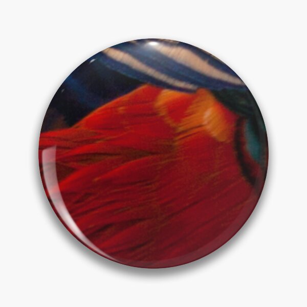 Item preview, Magnificent Red Golden Chinese Pheasant 2 - feathers, plumage, close up.  designed and sold by JellyBeenzz.