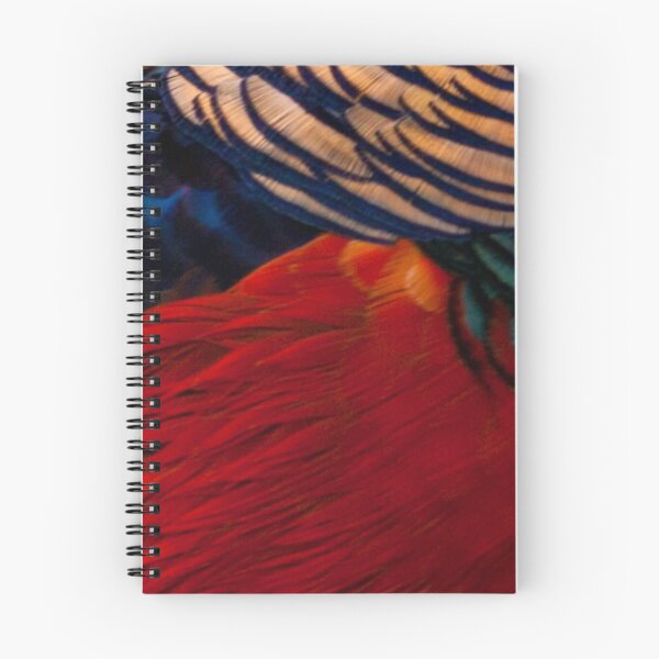 Item preview, Magnificent Red Golden Chinese Pheasant 2 - feathers, plumage, close up.  designed and sold by JellyBeenzz.