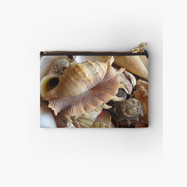 Item preview, Shells 5 designed and sold by Carolyn  Fletcher.