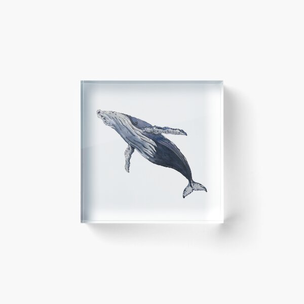 Item preview, Humpback Whale Watercolor designed and sold by KalilArt.