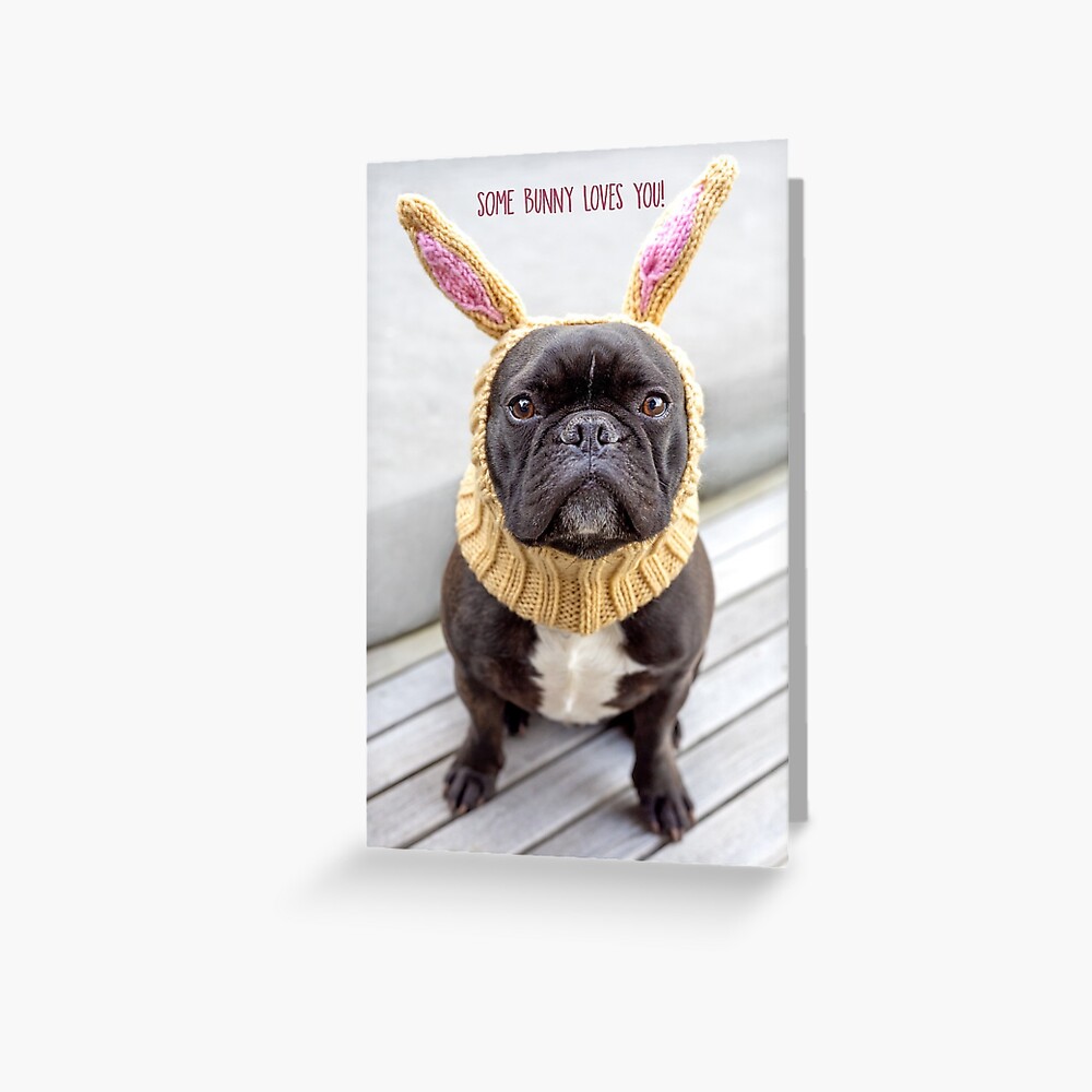 Some Bunny Loves You Greeting Card Greeting Card