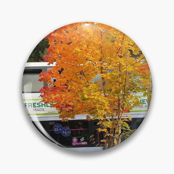 Item preview, Clachan of Campsie Autumn Blossom designed and sold by PortPrints.