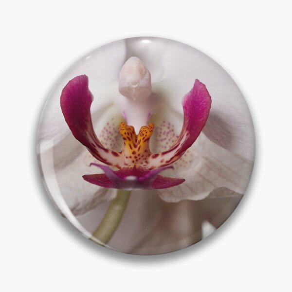 Item preview, It is turning old. Orchid designed and sold by Jouko Lehto Photography.