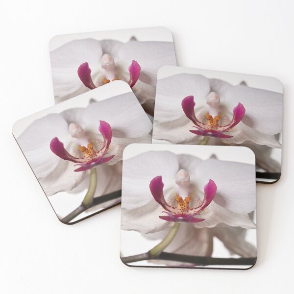 Item preview, It is turning old. Orchid designed and sold by Jouko Lehto Photography.
