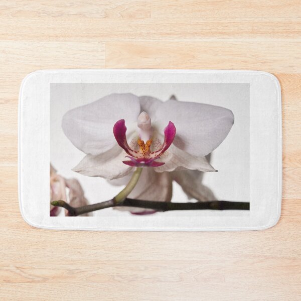 Item preview, It is turning old. Orchid designed and sold by Jouko Lehto Photography.