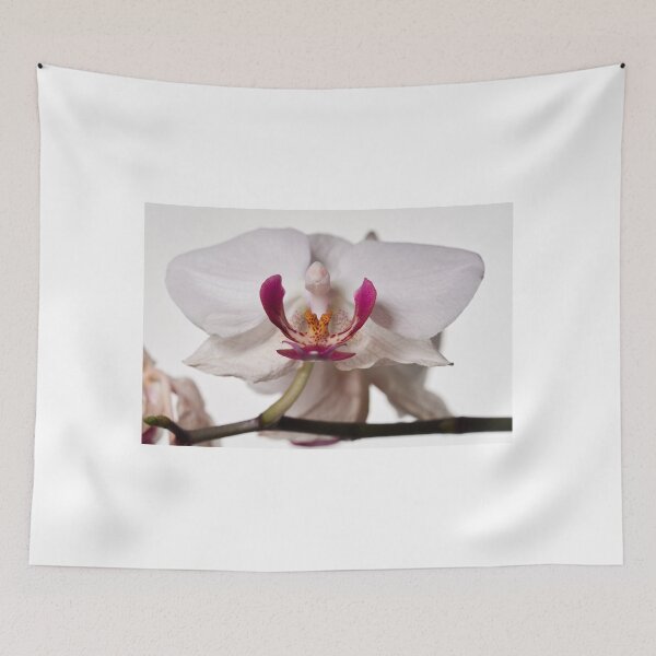 Item preview, It is turning old. Orchid designed and sold by Jouko Lehto Photography.