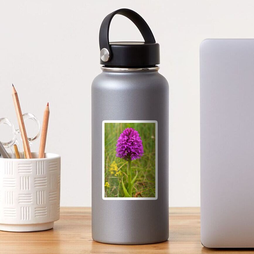 Pyramidal Orchid, Inishmore Sticker